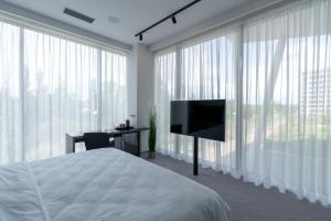 布拉格Port Karolina Luxury Residence的一间卧室配有一张床、一张书桌和一台电视