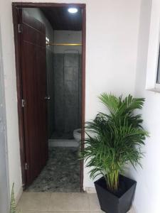 里奥阿查Donde Bris的带淋浴、卫生间和植物的浴室