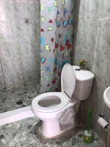 里奥阿查Donde Bris的一间带卫生间和淋浴帘的浴室