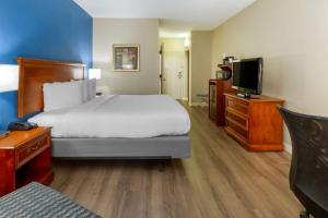 卡瑞贝斯特韦斯特帕里斯卡里 - 北卡罗来纳州的配有一张床和一台平面电视的酒店客房