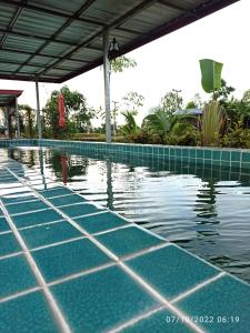 Muang Suanghomestay568 Branch 2的水中蓝色瓷砖的游泳池