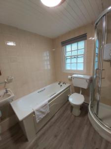 CorrofinCorofin Lake Cottages的带浴缸、卫生间和盥洗盆的浴室