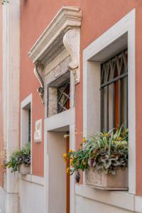威尼斯圣卢卡宫住宿加早餐旅馆的窗户上布满盆栽植物的建筑