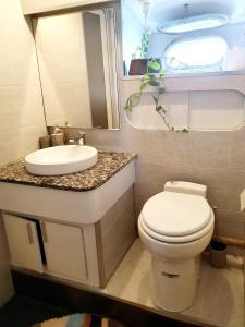 格吕桑Loc de cabines sur Yacht的浴室配有白色卫生间和盥洗盆。