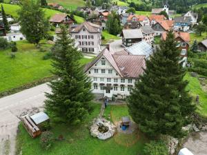 NesslauSchlafen im Sternen Ennetbühl的享有两棵松树房子的空中景色
