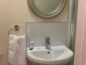 彭里斯The Globe Inn的浴室设有白色水槽和镜子