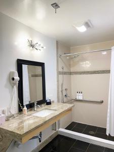 圣罗莎天文汽车旅馆的一间带水槽和淋浴的浴室