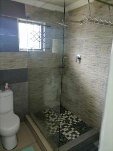 德班Queens And Kings Lodge的浴室设有玻璃淋浴间和卫生间
