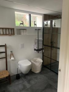 MaarnHet Slakkenhuisje的一间带卫生间和玻璃淋浴间的浴室