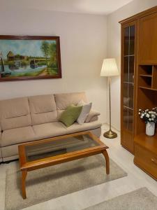 布加勒斯特Lovely & quiet 1-bedroom condo with free parking的带沙发和咖啡桌的客厅