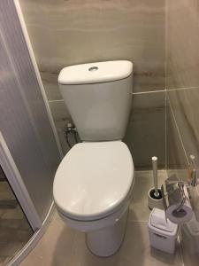ArdinoCozy Home in Ardino的浴室位于隔间内,设有白色卫生间。