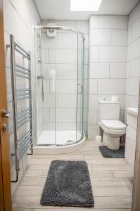 斯旺西Spacious 1-Bedroom Home with free private parking的带淋浴和卫生间的浴室以及地毯。