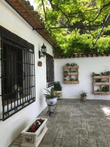 Ermita NuevaLuxury Spanish Country House close to Granada & Sierra Nevada的天井设有桌子和种有植物的窗户