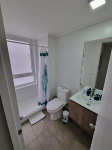 特木科Apart Hotel Bauerle & Apartamentos的一间带卫生间、水槽和镜子的浴室