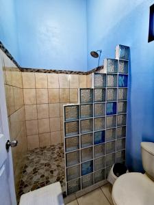 蒙泰韦尔德哥斯达黎加Apartment Monte Luna Mountain View的带淋浴、卫生间和蓝色墙壁的浴室