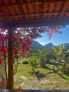 伊比科阿拉Pousada Serra Aquarela - Mini casas的树上种着红色的花朵和山 ⁇ 