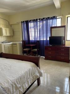圣多明各VBermor Hotel的一间卧室配有一张床和一台电视,还设有一间厨房
