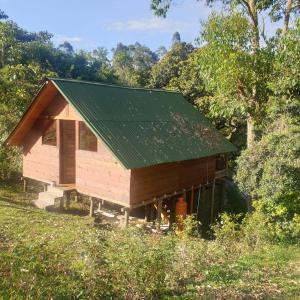 里奥内格罗Cabaña Guayacanes的一座带绿色屋顶的小木房子