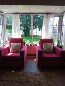 科塔吉里Zeus Bungalow的客厅配有两把紫色椅子和大窗户