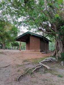 波隆纳鲁沃克雷哈特村住宿加早餐旅馆的树木林立的田野中心建筑