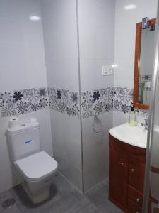 阿尔玛桑Apartamento El Prado的浴室配有卫生间、淋浴和盥洗盆。