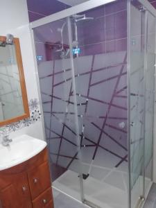 阿尔玛桑Apartamento El Prado的带淋浴和盥洗盆的浴室