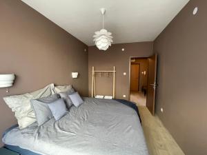 米什科尔茨Macropolis Apartments的一间卧室配有一张床和一个吊灯
