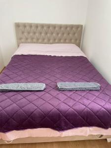 比耶利纳SIMIKIC Z的一张带两个枕头的紫色床