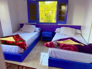 阿斯旺Ghalia Guest House的客房设有两张床和窗户。