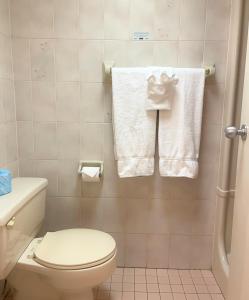 尼亚加拉瀑布Travelodge by Wyndham Niagara Falls Lundys Lane的浴室配有卫生间和墙上的毛巾。