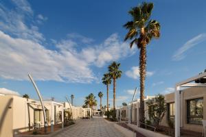 耶鲁姆Desert Iris Hotel的一条拥有棕榈树和建筑的鹅卵石街道