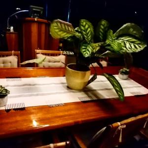 巴勒莫DonnaMarisa的木桌,上面有盆栽植物