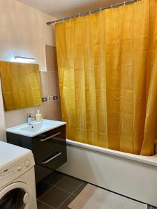 尚特洛普恩布里Welcome to Hakuna matata !的一间带水槽和洗衣机的浴室
