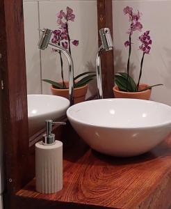 纳韦甘蒂斯NAVEGA HOUSE的浴室设有两个水槽,并种植了植物和鲜花