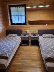 赫兴施万德Blockhaus im Süden Deutschlands的带窗户的客房内设有两张单人床。
