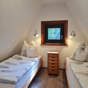 BernhardsthalWanderhütte Zum Bernhardsthal的带窗户的客房内设有两张单人床。