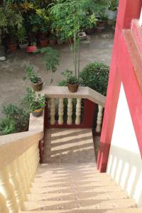 邦劳Peace Lily Studio Apartments Panglao的楼梯,有长凳和盆栽植物