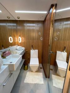 里约热内卢Flat Moderno e decorado Lapa-RJ的一间带水槽、卫生间和淋浴的浴室