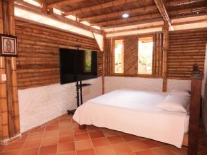 里韦拉Villa Jardines de la Monarca的一间卧室配有一张床和一台平面电视