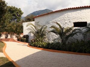 里韦拉Villa Jardines de la Monarca的棕榈树白色建筑前的走道