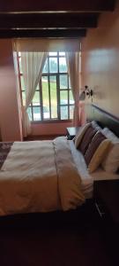 卡扬贝Hosteria Loma Larga Cayambe的一间卧室设有一张大床和窗户