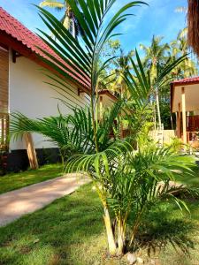 龙目岛库塔Twiny's的房屋前的棕榈树