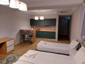 特尔古穆列什H11 Downtown Apartments的带两张床的客房和一个带绿色橱柜的厨房