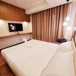 碧瑶Eekos Hotels的一间酒店客房,配有一张床和一台电视