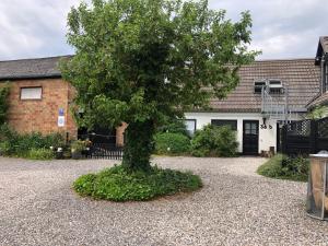 Great little house in country part off farm的房屋前的砾石车道上的一棵树