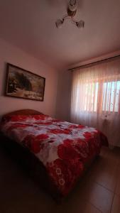 GreciCasa Caraua的一间卧室配有一张带红色床单的床和一扇窗户。
