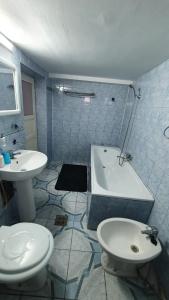 GreciCasa Caraua的浴室配有卫生间、浴缸和水槽。