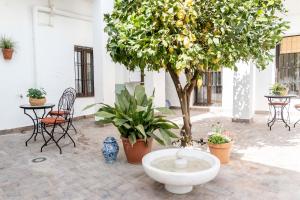 格拉纳达Carmen de Cortes的庭院里种有树、椅子和喷泉