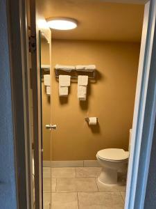 罗克福德Hotel Weston RFD的浴室设有卫生间和带毛巾的淋浴。