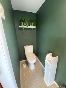 HeathcoteTiny Home on a Hill的一间带卫生间和绿色墙壁的浴室